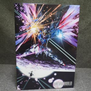 BANDAI メタルビルド ディスティニーガンダム 光の翼オプションセット METALBUILD ガンダムSEED DESTINY